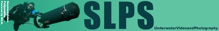 SLPS